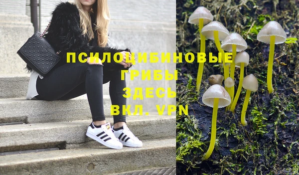 каннабис Арсеньев