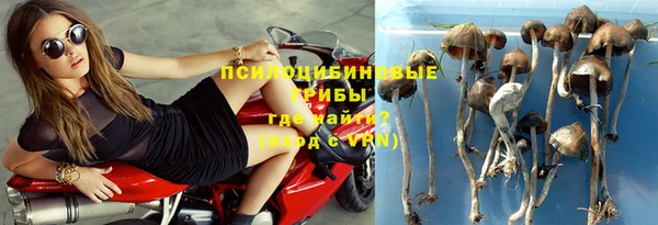стафф Армянск