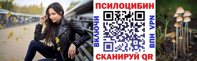 Псилоцибиновые грибы Cubensis  Купить где  Купино 
